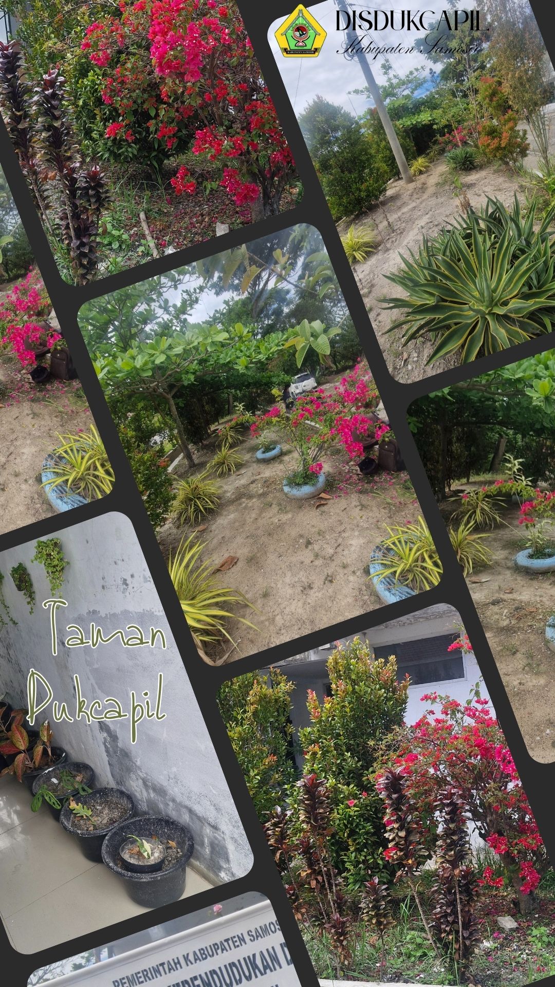 Taman