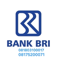 Panduan BEGINI Cara atasi Lupa PIN BRImo Salah pasword-3 Kali dan Akun BRImo Terblokir tampa perlu ke Bank