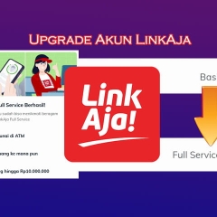 Apakah OVO punya No WA?